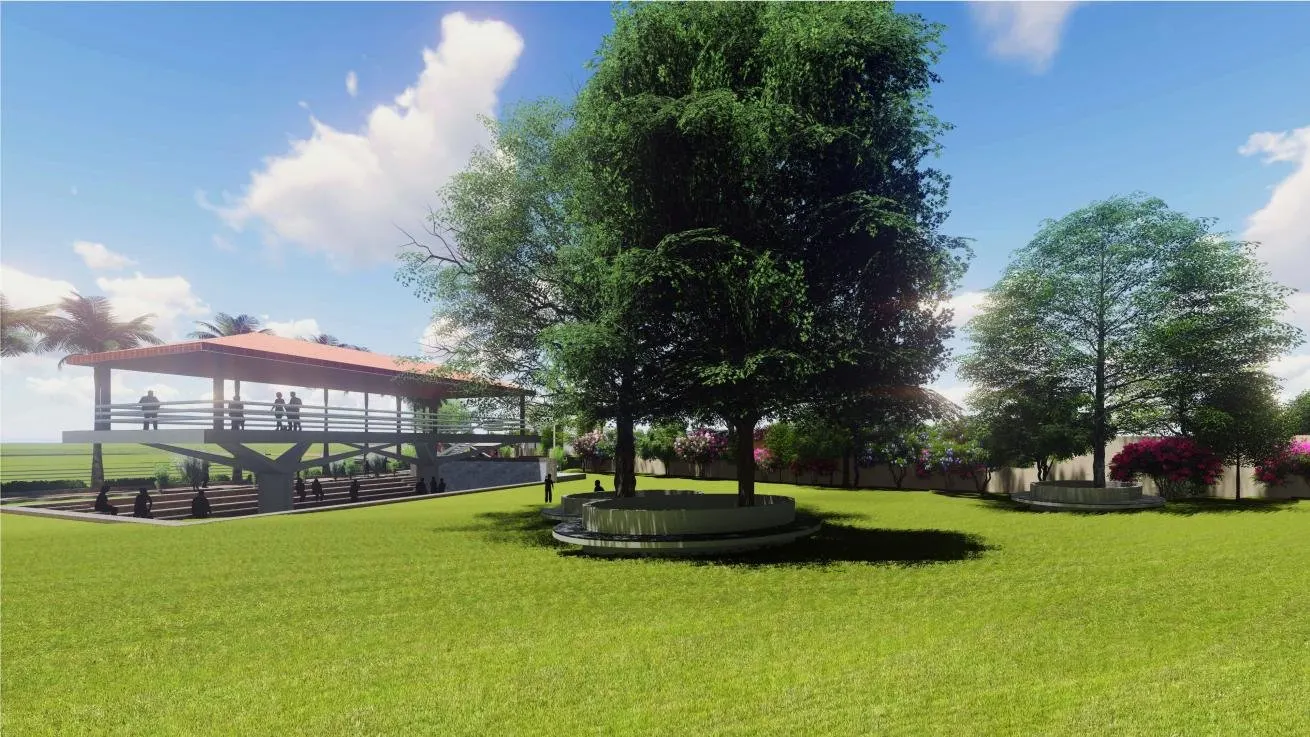 Lawn Area